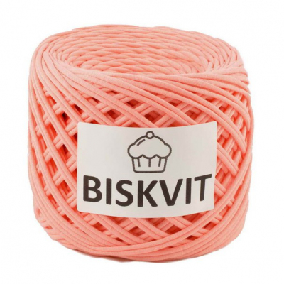 Пряжа Бисквит (Biskvit) (ленточная пряжа) филадельфия в интернет-магазине Швейпрофи.рф