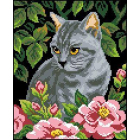 Рисунок на канве Гелиос Д-010 «Серьезный котик» 23*27 см