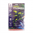 Гравюра Школа Талантов 4994599 «Бычок. Верь в чудеса» 14,8*21 см серебро светится в темноте