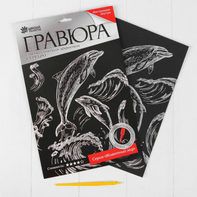 Гравюра Школа Талантов 3536799 «Дельфины» 21*29 см Гр с эффектом серебра в интернет-магазине Швейпрофи.рф