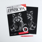 Гравюра Школа Талантов 4063542 «Енот» 21*29 см Гр с эффектом серебро