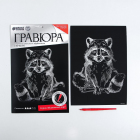 Гравюра Школа Талантов 4063542 «Енот» 21*29 см Гр с эффектом серебро в интернет-магазине Швейпрофи.рф
