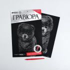 Гравюра Школа Талантов 4063548 «Шпиц» 21*29 см Гр с эффектом серебро