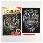 Гравюра Школа Талантов 2147971 «Тигр» с металл. эфф. - золото 21,3*36 см в интернет-магазине Швейпрофи.рф Гравюра Школа Талантов 2147971 «Тигр» с металл. эфф. - золото 21,3*36 см в интернет-магазине Швейпрофи.рф