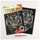 Гравюра Школа Талантов 2147971 «Тигр» с металл. эфф. - золото 21,3*36 см