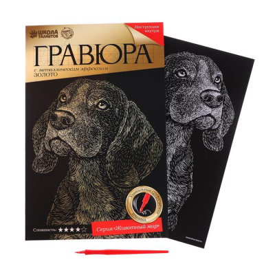 Гравюра Школа Талантов 2147979 «Бигль» 21*30 см Гр с эффектом золото в интернет-магазине Швейпрофи.рф