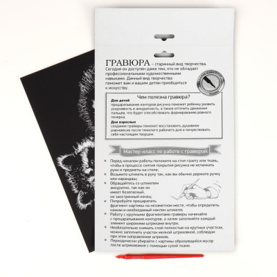 Гравюра Школа Талантов 2147949 «Еноты» 21*29 см Гр с эффектом серебро в интернет-магазине Швейпрофи.рф