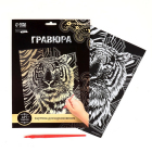 Гравюра Школа Талантов 6942261 «Тигр» 21*30 см Гр золото