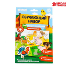 Аппликация наклейками «Домашние животные» (4 поля + 2 листа наклеек) 5616976 15*23 см